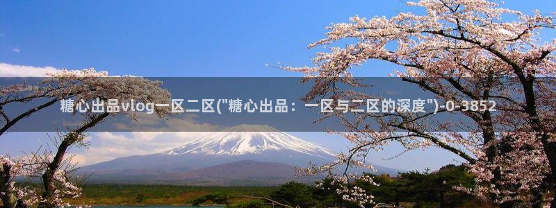 51糖心vlog破解版