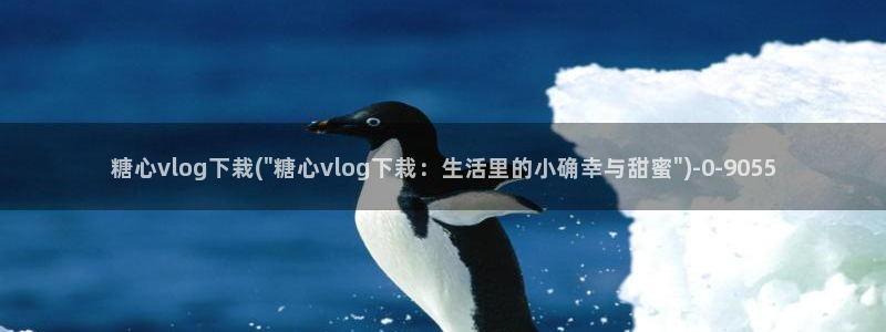 心糖vlogo