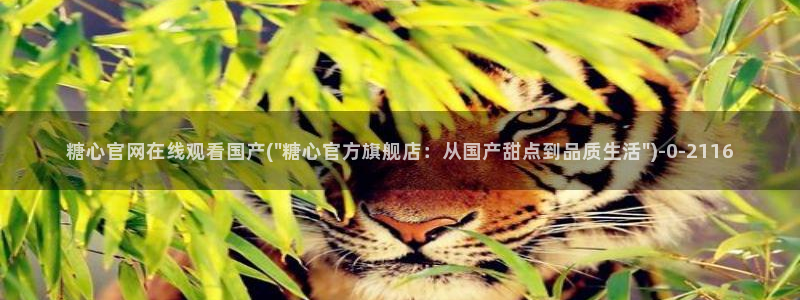 糖心成年版糖心vlog 葫芦：糖心官网在线观看国产(\