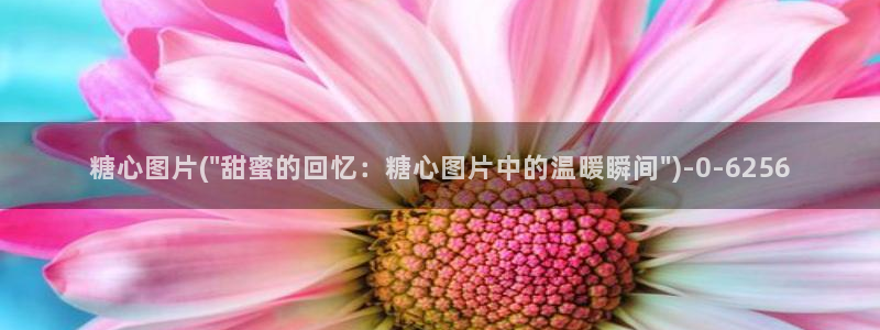 糖心 vlog