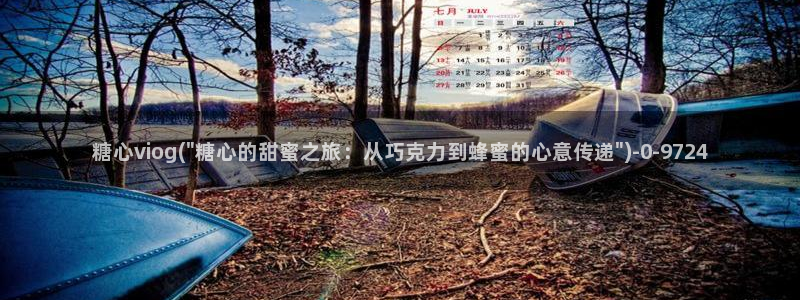 糖心vlog怎么