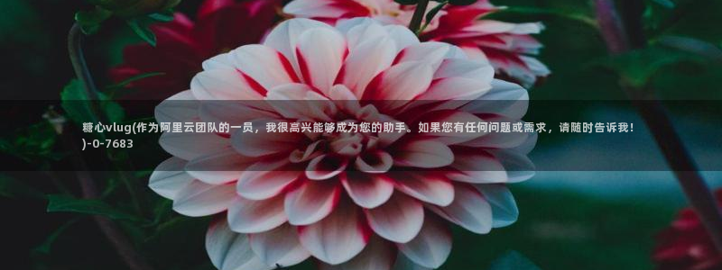 糖心vlog酥酥