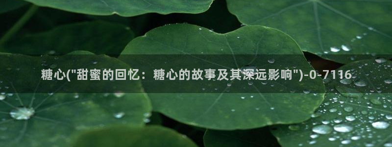 糖心vlog网站观看