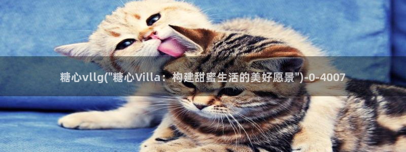 糖心vlog黄色视频