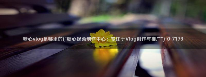 糖心vlog小