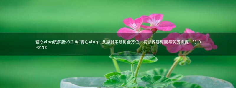 糖心vlog啊啊啊