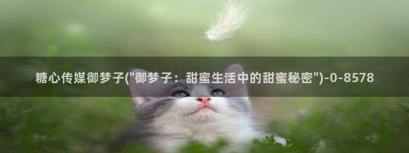 糖心vlog平台