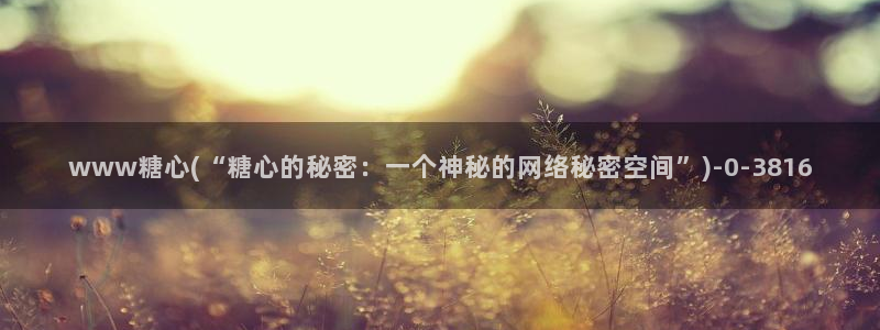 心糖vlogo